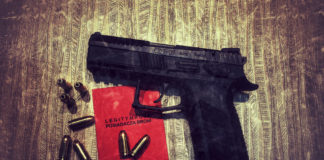 liczba pozwoleń na broń