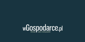 Więcej broni to więcej strzelanin